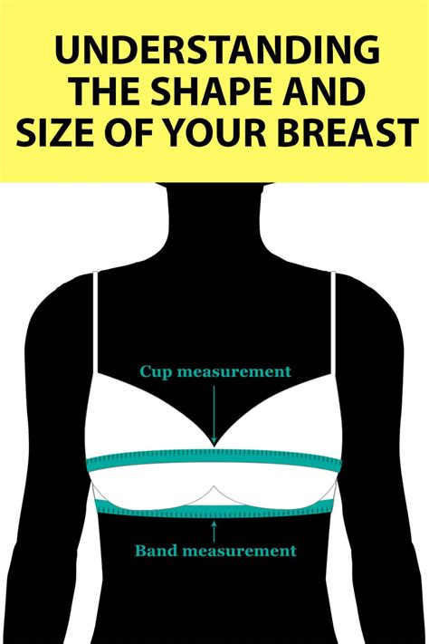 bell tits|Breast Shapes: A Guide to Different Types of Breasts